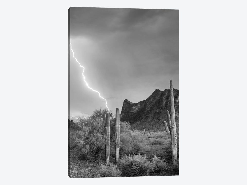 Lightning over Picacho Peak, Picacho State Park, Arizona by Tim Fitzharris 1-piece Canvas Art