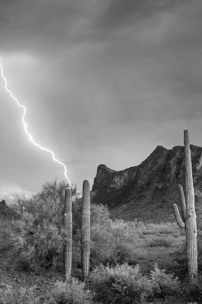 Lightning: Lightning over Picacho Peak, Picacho State Park, Arizona by Tim Fitzharris