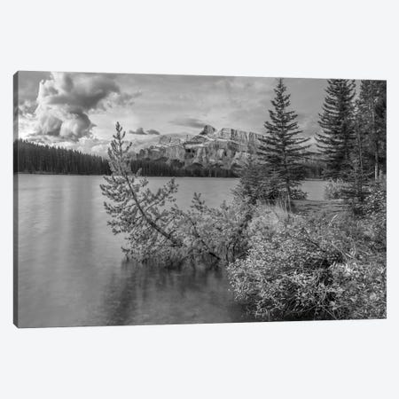 Mount Rundle from Two Jack Lake, Banff National Park, Alberta, Canada Canvas Print #TFI1678} by Tim Fitzharris Canvas Wall Art