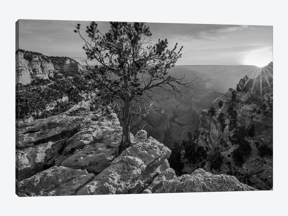 North Rim, Grand Canyon, Arizona by Tim Fitzharris 1-piece Art Print