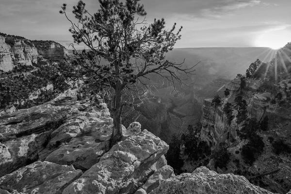 Minden Pictures: North Rim, Grand Canyon, Arizona by Tim Fitzharris