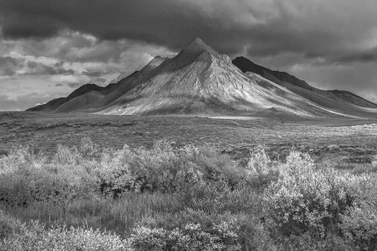 Ogilvie Mountains, Tombstone Territorial Park, Yukon, Canada