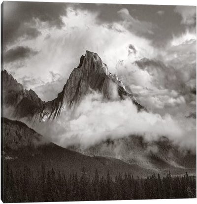 Opal Range surrounded by fog, Kananaskis Country, Alberta, Canada Canvas Art Print - Canada Art