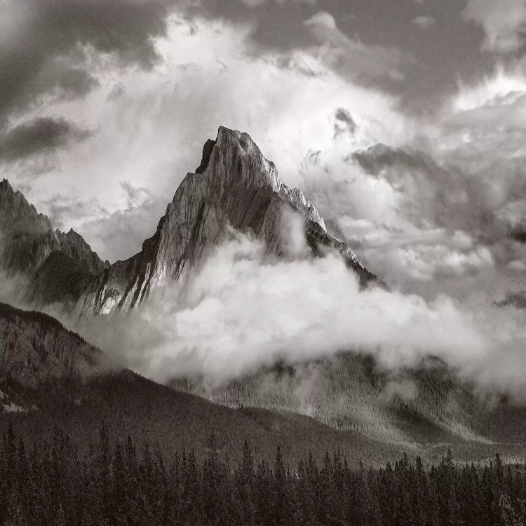 Opal Range surrounded by fog, Kananaskis Country, Alberta, Canada