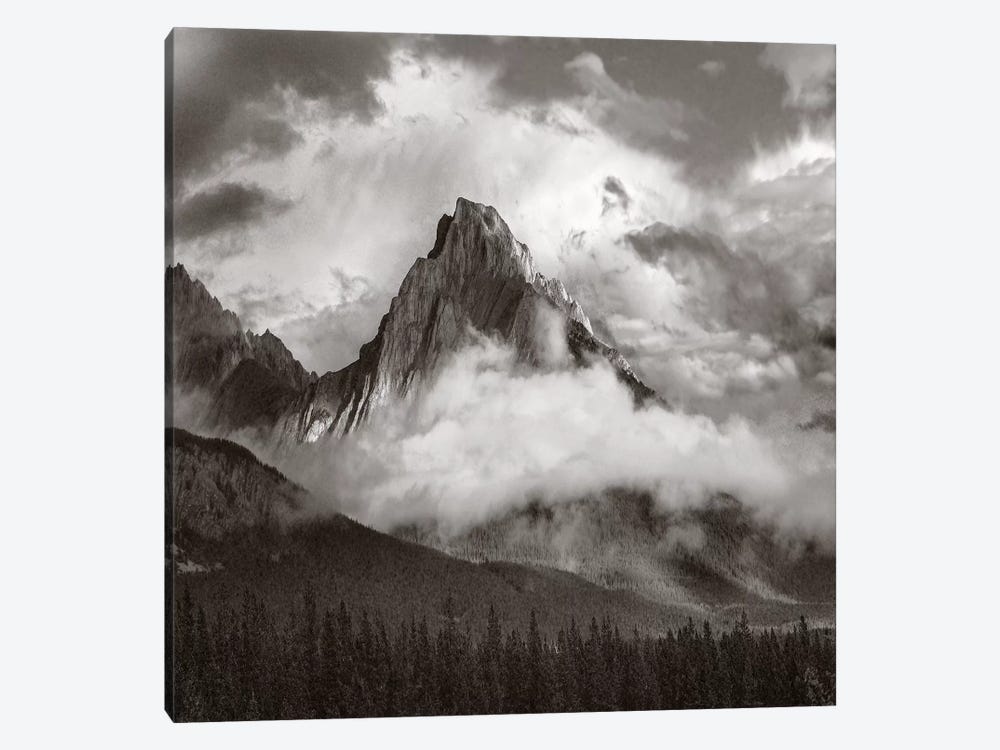 Opal Range surrounded by fog, Kananaskis Country, Alberta, Canada by Tim Fitzharris 1-piece Canvas Wall Art
