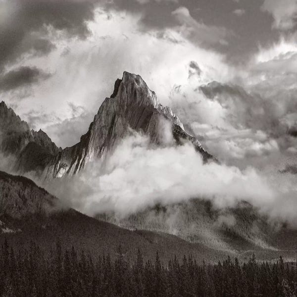Alberta: Opal Range surrounded by fog, Kananaskis Country, Alberta, Canada by Tim Fitzharris