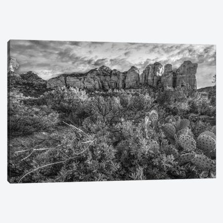 Opuntia cactus and Bearberry, Coffee Pot Rock, Coconino National Forest, Arizona Canvas Print #TFI1705} by Tim Fitzharris Art Print
