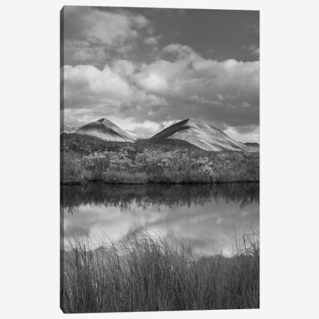 Peaks along river in autumn, Ogilvie Mountains, Tombstone Territorial Park, Yukon, Canada Canvas Print #TFI1716} by Tim Fitzharris Canvas Art