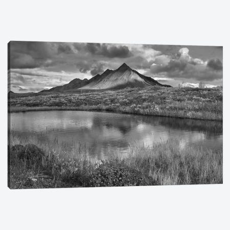 Pond and Ogilvie Mountains, Tombstone Territorial Park, Yukon, Canada Canvas Print #TFI1720} by Tim Fitzharris Canvas Wall Art