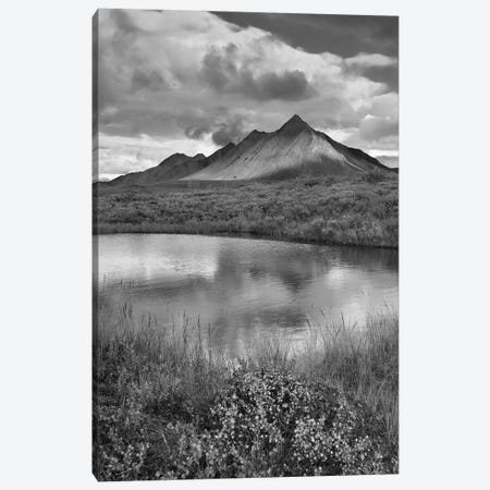 Pond and Ogilvie Mountains, Tombstone Territorial Park, Yukon, Canada Canvas Print #TFI1721} by Tim Fitzharris Canvas Artwork