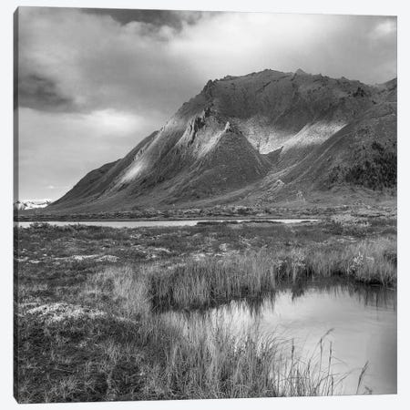 Pond and Ogilvie Mountains, Tombstone Territorial Park, Yukon, Canada Canvas Print #TFI1722} by Tim Fitzharris Canvas Art