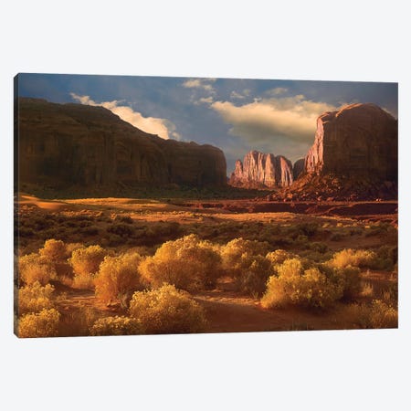 Camel Butte Rising Out Of Desert, Monument Valley, Arizona Canvas Print #TFI183} by Tim Fitzharris Art Print