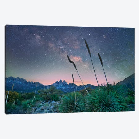 Agave And The Milky Way, Organ Mountains-Desert Peaks National Monument, New Mexico II Canvas Print #TFI1842} by Tim Fitzharris Art Print