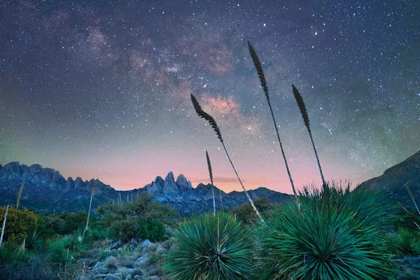 New Mexico: Agave And The Milky Way II, Organ Mountains-Desert Peaks National Monument, New Mexico by Tim Fitzharris