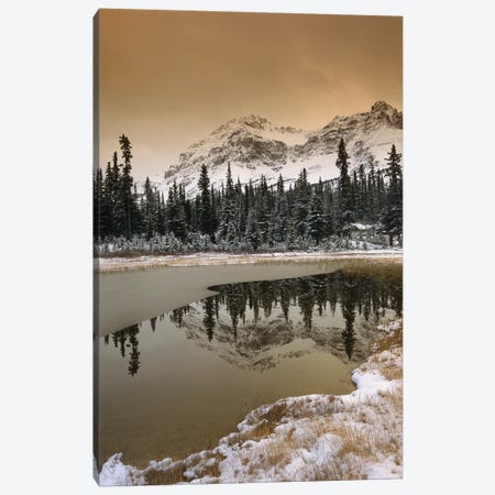 Canadian Rocky Mountains Dusted In Snow, Banff National Park, Alberta, Canada Canvas Print #TFI184} by Tim Fitzharris Canvas Wall Art