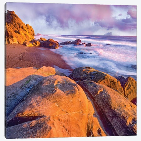 Coast At Sunset, Beach Four, Olympic National Park, Washington Canvas Print #TFI1857} by Tim Fitzharris Canvas Print