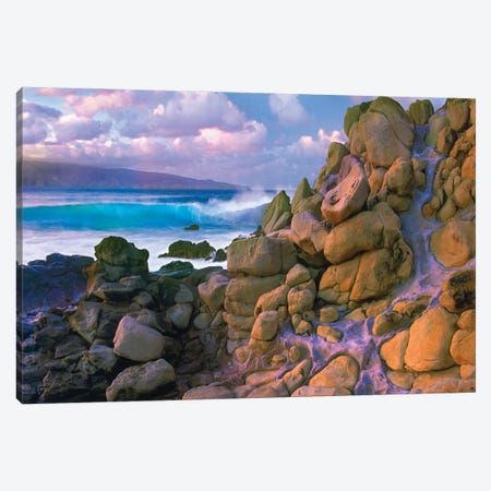 Coastal Rocks And Waves, Honolua Bay, Maui, Hawaii Canvas Print #TFI1858} by Tim Fitzharris Canvas Wall Art