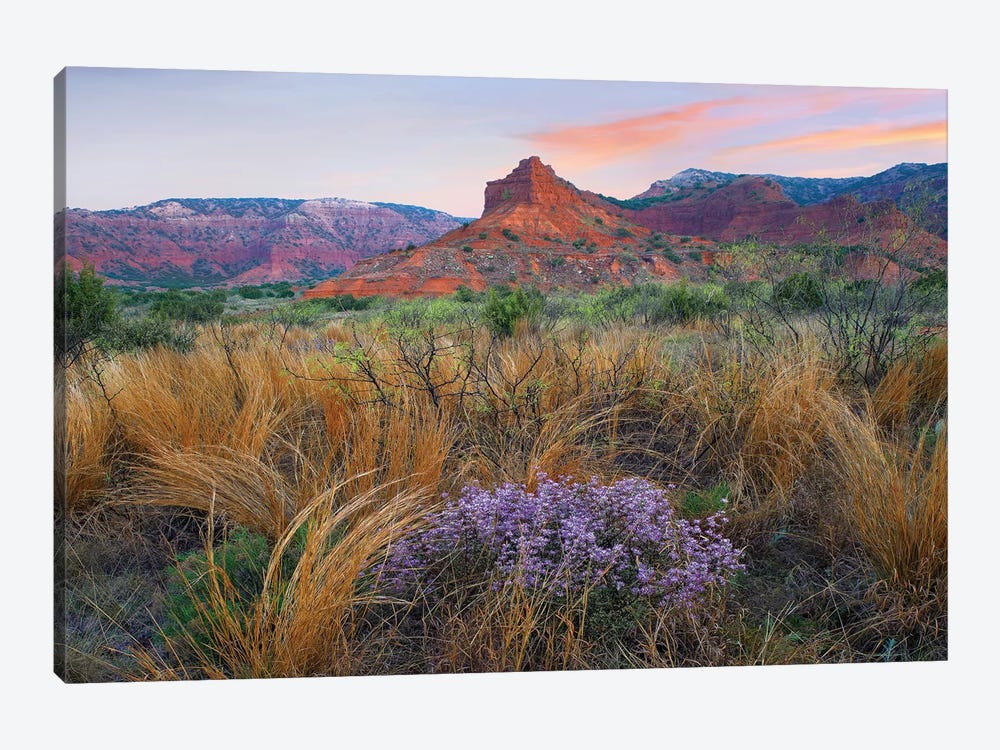 Caprock Canyons State Park, Texas - Horizontal by Tim Fitzharris 1-piece Canvas Wall Art