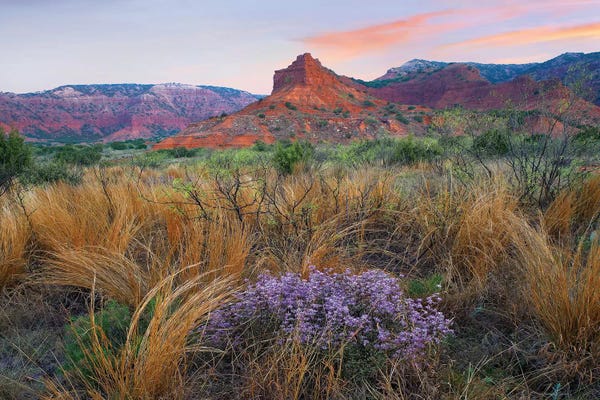 Minden Pictures: Caprock Canyons State Park, Texas - Horizontal by Tim Fitzharris