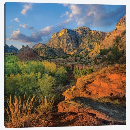 Cottonwood Trees And Mountains, Palo Duro Canyon State Park, Texas Canvas Print #TFI1864} by Tim Fitzharris Canvas Wall Art