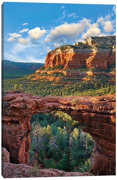Devil's Arch, Red Rock-Secret Mountain Wilderness, Arizona Canvas Art Print - Canyon Art