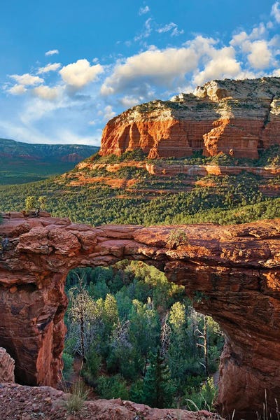 Arizona: Devil's Arch, Red Rock-Secret Mountain Wilderness, Arizona by Tim Fitzharris