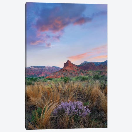 Caprock Canyons State Park, Texas - Vertical Canvas Print #TFI186} by Tim Fitzharris Canvas Artwork