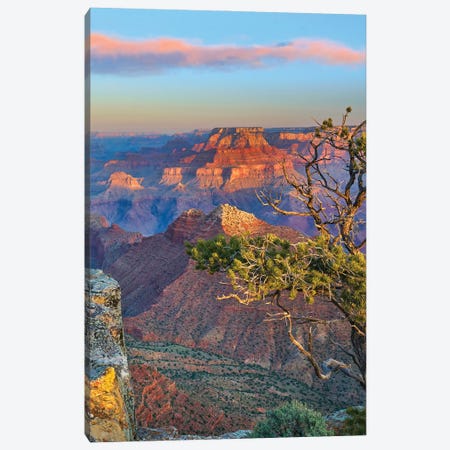 Grand Canyon From Desert View Overlook, Grand Canyon National Park, Arizona Canvas Print #TFI1870} by Tim Fitzharris Canvas Wall Art