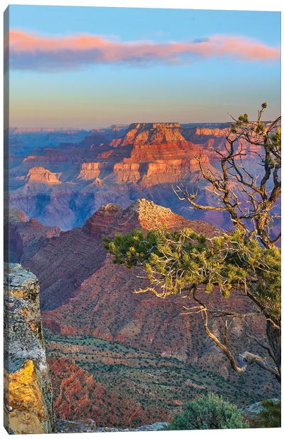 Grand Canyon From Desert View Overlook, Grand Canyon National Park, Arizona Canvas Art Print - Grand Canyon National Park Art