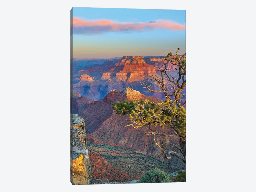 Grand Canyon From Desert View Overlook, Grand Canyon National Park, Arizona by Tim Fitzharris 1-piece Canvas Art Print