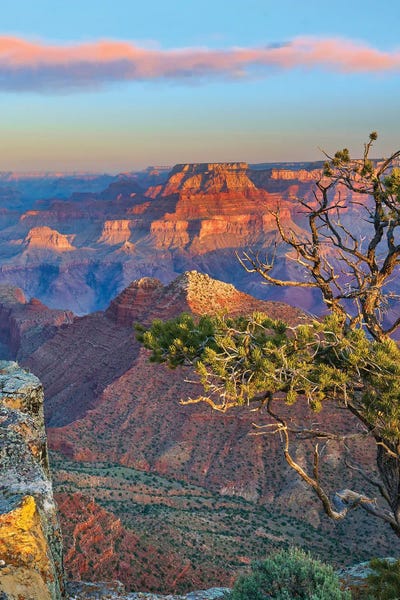 Arizona: Grand Canyon From Desert View Overlook, Grand Canyon National Park, Arizona by Tim Fitzharris
