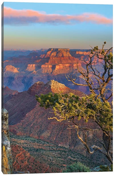 Grand Canyon, Grand Canyon National Park, Arizona Canvas Art Print - Grand Canyon National Park Art