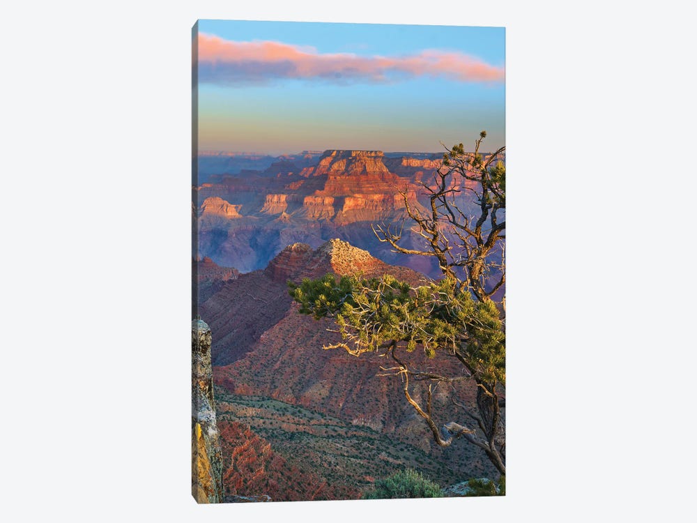 Grand Canyon, Grand Canyon National Park, Arizona by Tim Fitzharris 1-piece Art Print