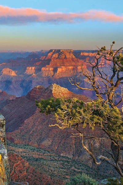 Arizona: Grand Canyon, Grand Canyon National Park, Arizona by Tim Fitzharris