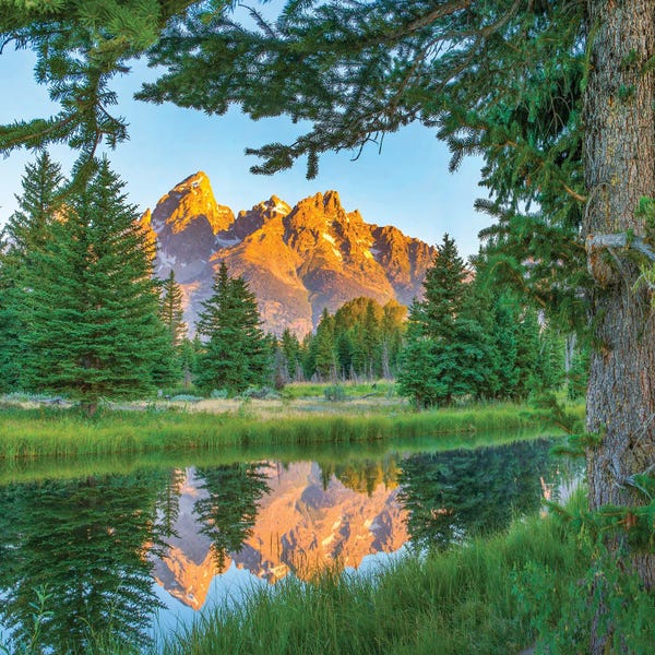Wyoming: Grand Tetons And Snake River, Grand Teton National Park, Wyoming by Tim Fitzharris