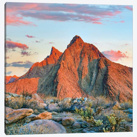 Indian Head Mountain, Anza-Borrego Desert State Park, California Canvas Print #TFI1880} by Tim Fitzharris Canvas Print