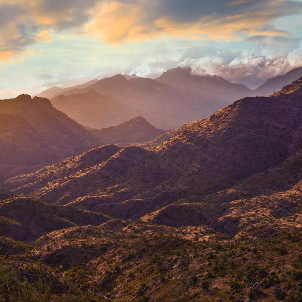 Arizona: Mountains, Pusch Ridge Wilderness, Coronado National Forest, Arizona by Tim Fitzharris