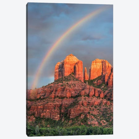 Rainbow Over Rock formation, Cathedral Rock, Coconino National Forest, Arizona Canvas Print #TFI1907} by Tim Fitzharris Canvas Art Print