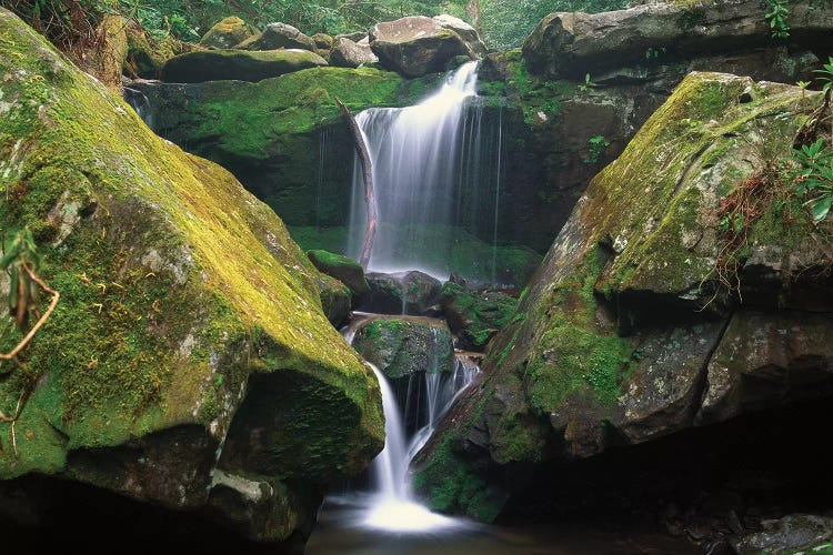 Cascade Near Grotto Falls, Great Smoky Mountains National Park, Tennessee