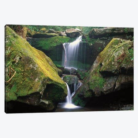 Cascade Near Grotto Falls, Great Smoky Mountains National Park, Tennessee Canvas Print #TFI191} by Tim Fitzharris Canvas Art
