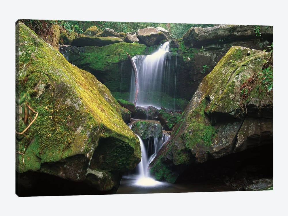 Cascade Near Grotto Falls, Great Smoky Mountains National Park, Tennessee 1-piece Canvas Art Print