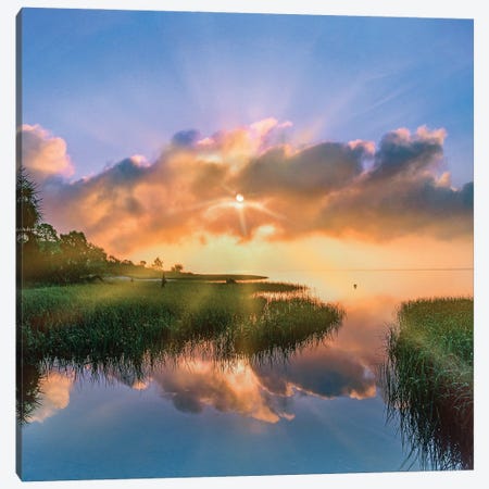 Sunrise Over Wetland, Eagle Bay, Saint Joseph Peninsula, Florida Canvas Print #TFI1922} by Tim Fitzharris Canvas Artwork