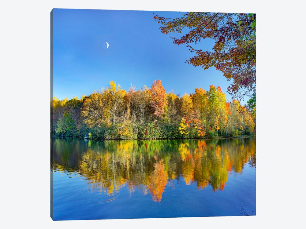 Autumn On Price Lake, Blue Ridge Parkway, North Carolina by Tim Fitzharris 1-piece Art Print
