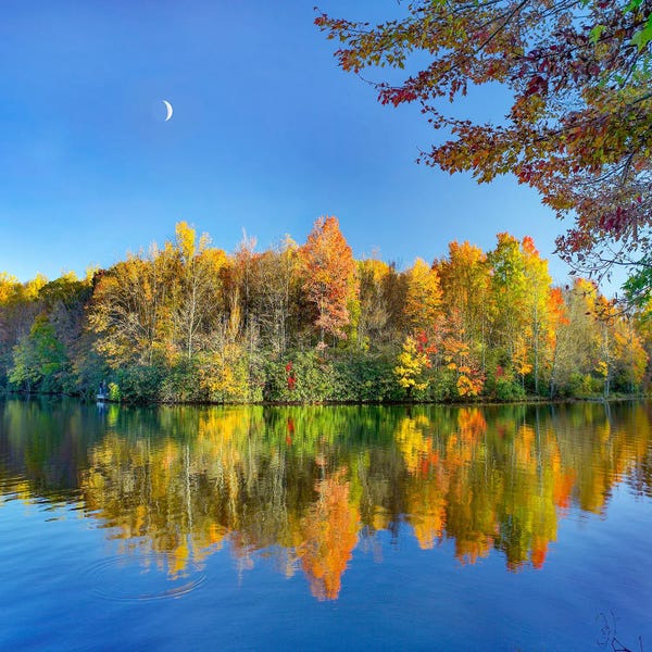 North Carolina: Autumn On Price Lake, Blue Ridge Parkway, North Carolina by Tim Fitzharris