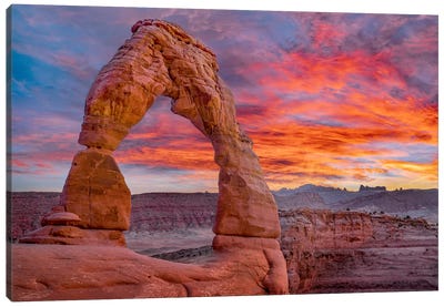 Delicate Arch At Sunset, Arches National Park, Utah Canvas Art Print - Tim Fitzharris