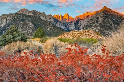 Mount Whitney, Inyo National Forest, Sierra Nevada, California by Tim Fitzharris framed wall art