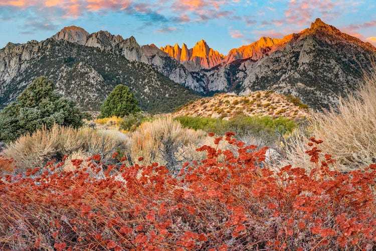Mount Whitney, Inyo National Forest, Sierra Nevada, California by Tim Fitzharris wall art