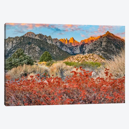 Mount Whitney, Inyo National Forest, Sierra Nevada, California Canvas Print #TFI1937} by Tim Fitzharris Canvas Artwork