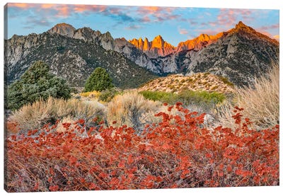 Mount Whitney, Inyo National Forest, Sierra Nevada, California Canvas Art Print - Tim Fitzharris