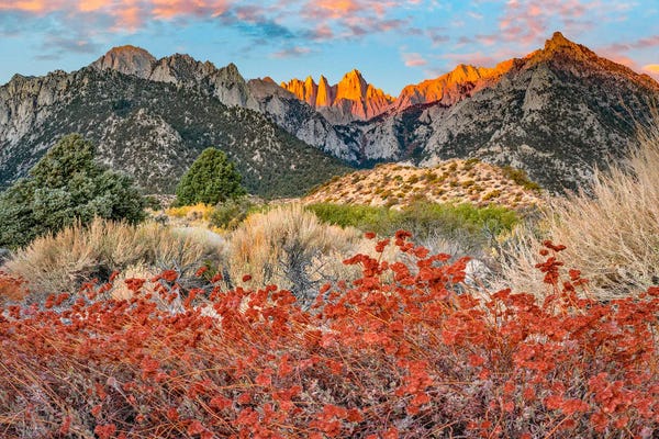 Minden Pictures: Mount Whitney, Inyo National Forest, Sierra Nevada, California by Tim Fitzharris
